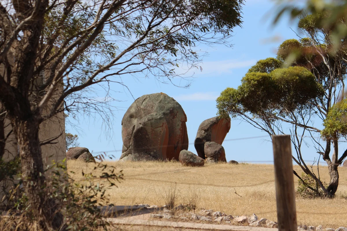 Murphy’s Haystacks, ancient granite rock formations rising from golden farmland near Streaky Bay, South Australia