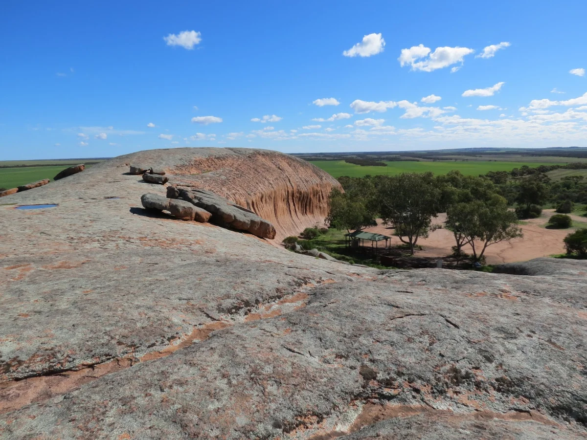 Pildappa Rock is a unique Inselberg wave form structure located 18 km northeast of Minnipa. Composed of Pink Hiltaba granites, Pildappa Rock makes a great site for serious photographers. Features at Pildappa Rock include a giant wave form - said to rival the Hyden Wave Rock found in Western Australia, gnamma rockholes, decaying granite sheets and tafoni structures, If you're heading to Perth or Adelaide this detour from the main road is highly recommended. Minnipa is located 200 km east of Ceduna, and add on another 18 klometres to Pildappa. Undercover shelters, free barbecues and toilets make for a great picnic spot.